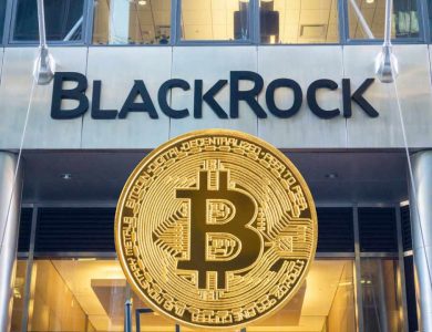 BlackRock Crypto, Crypto, Stablecoin