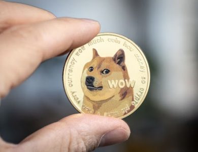 Dogecoin fällt aus der Top-10-Marktkapitalisierungsliste, während der neue Memecoin-Vorverkauf 1,3 Millionen US-Dollar einbringt